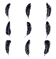 Feather Icon Set Vector