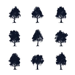 Fototapeta premium Silhouette Of Tree Collection