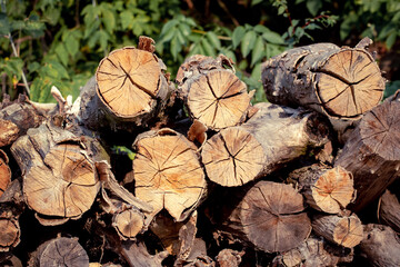 Stacked firewood logs for the hearth. Firewood outdoors