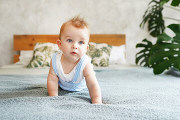 Adorable baby boy in white sunny bedroom with green plant monstera. Newborn child relaxing in bed. Textile and bedding for kids. Family morning at home