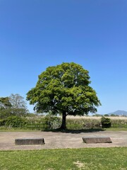 自然豊かな公園