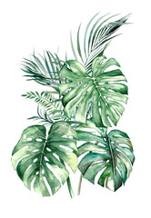 Watercolor tropical leaves bouquet illustration