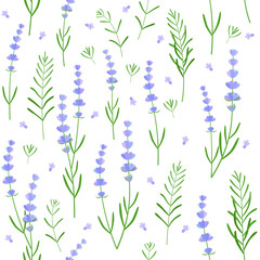 Fototapeta na wymiar seamless floral lavender pattern