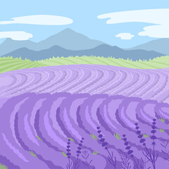 lavender purple fields, green meadows and mountains
