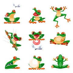 Obraz premium Funny frogs in various poses. Amphibian croaking, jumping, hunting, catching fly, smiling. Exotic tropical red-eyed tree frog. Wildlife animal cartoon vector set. Adorable bright creature