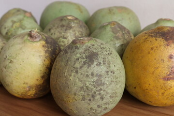 green colored ripe wood apple stock
