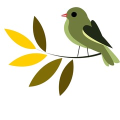 bird on branch