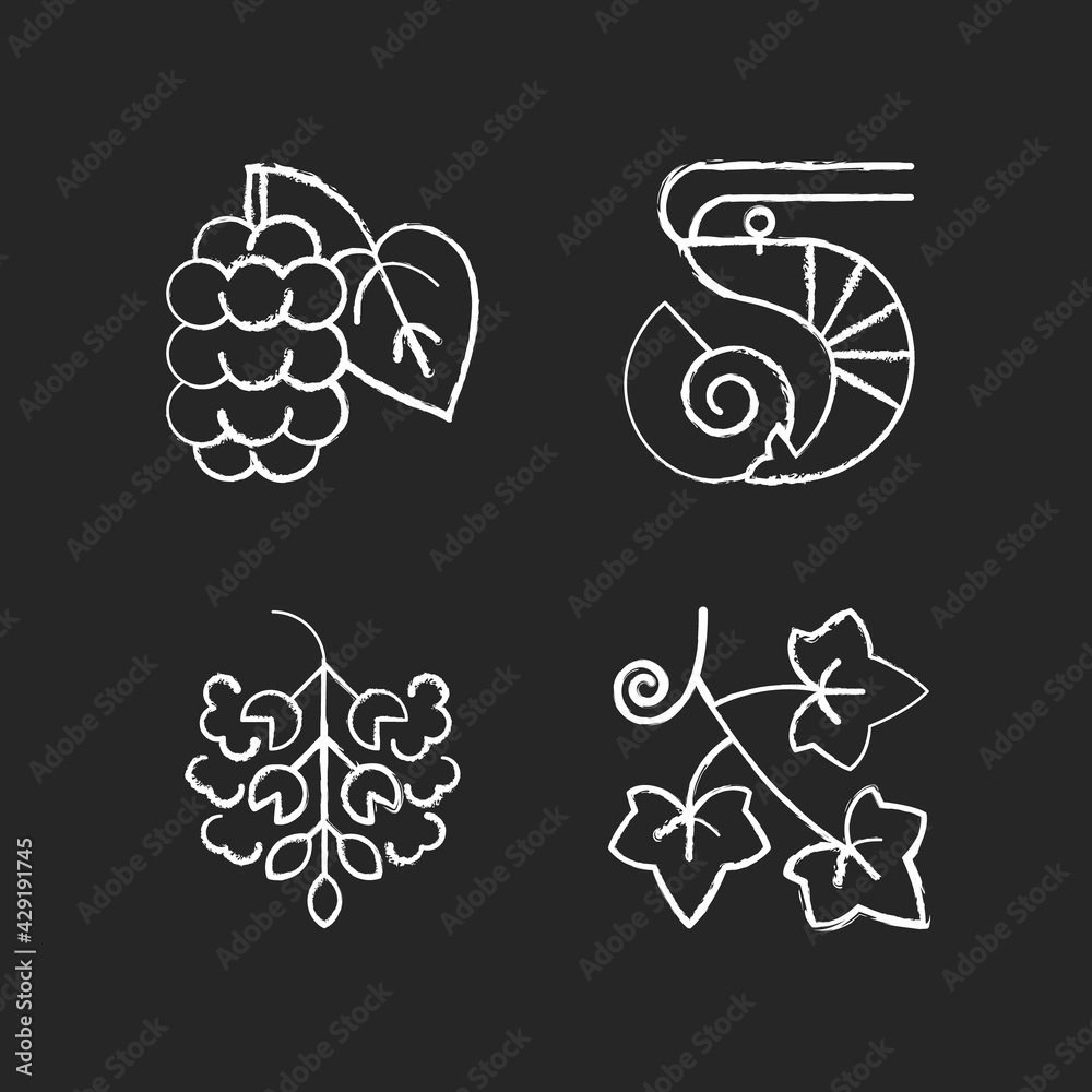 Wall mural Seasonal allergen causes chalk white icons set on black background. Mulberry on branch. Crustacean and mollusc. Poplar tree pollen. English ivy. Isolated vector chalkboard illustrations