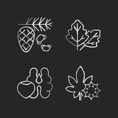 Cause of allergic reaction chalk white icons set on black background. Cedar and pine tree pollen. Lambs quarters. Tree nuts, walnut, hazelnut. Castor bean. Isolated vector chalkboard illustrations