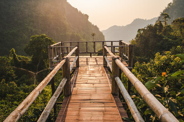 bamboo bridge among the mountain