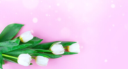 Obraz na płótnie Canvas Tulip bouquet on pink background. Top view. Close up