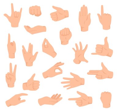 Flat hands. Man hand with various gestures and fist. Open palm victory and thumbs up, pointing finger sign. Holding and giving arm vector set. Body language signals for communication