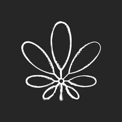 Schefflera chalk white icon on black background. Flowering plant. Tropical leaf. Umbrella tree. Seasonal cause of allergic reaction. Exotic foliage. Isolated vector chalkboard illustration