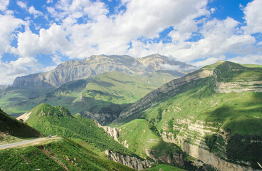 Fototapeta premium landscape in summer