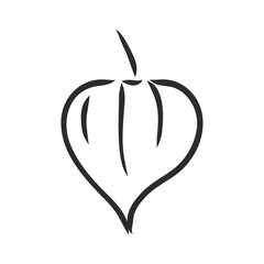 Physalis autotraced vector sketch, greyscale. physalis, vector sketch on a white background