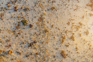Red Gravel on white sand background, with sunlight