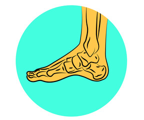 Human leg and joints. Symbol. Vector illustration.