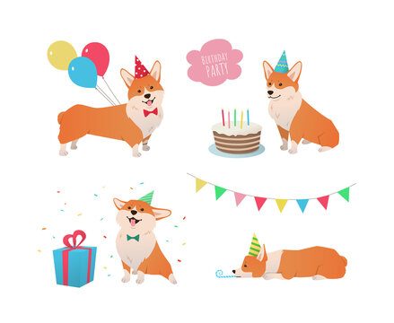 Corgi dog birthday party set. Cute cartoon pet with cake, balloons, confetti and gift box on white background. - Vector illustration