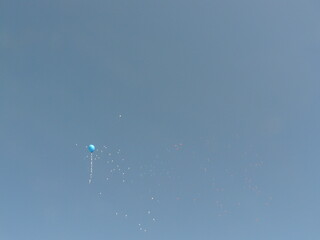 Air balloons in sky