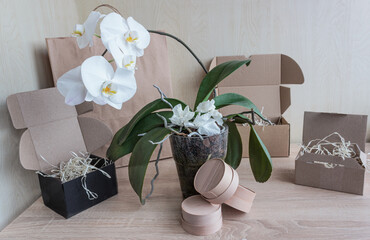 Cardboard boxes of different sizes with natural filling, a large paper bag, small round boxes on a wooden background. White orchid flowers symbolize the purity and naturalness of the packaging.