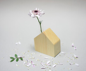 Flower in a wooden model of the house with scattered petals around