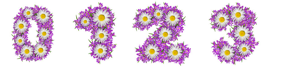 Fototapeta na wymiar Numbers 1, 2, 3, 4 made of lilac violets and chamomile