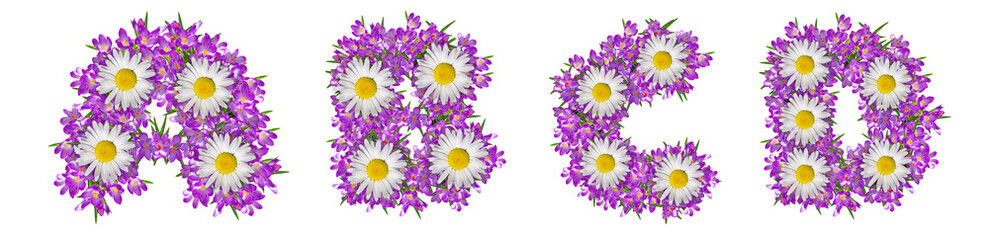 Letters A, B, C, D made of lilac violets and chamomile