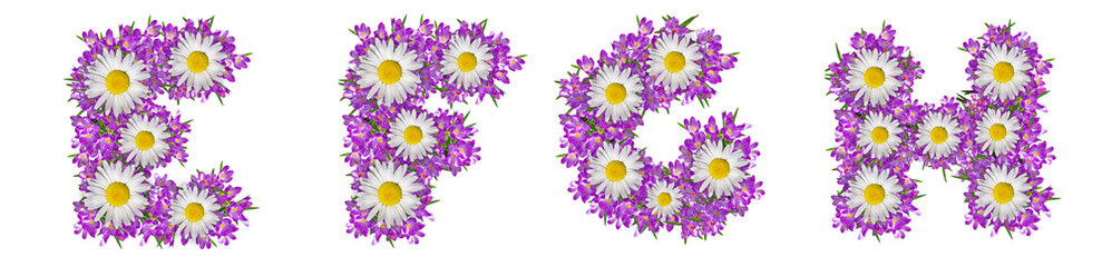 Fototapeta na wymiar Letters E, F, G, H made of lilac violets and chamomile