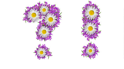 Question mark and exclamation mark made of lilac violets and daisies