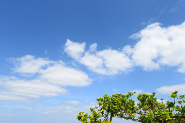 さわやかな青空