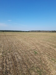 plowed field in the morning