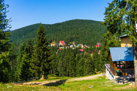 Green mountain forest landscape. beautiful nature with alpine meadows  in Bihor, Romania.