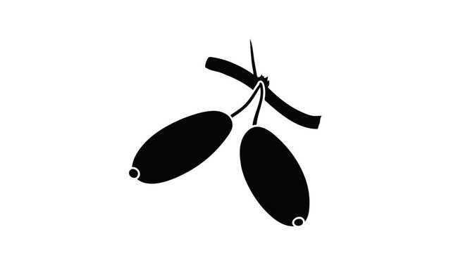 Barberry icon animation isometric black object on white background
