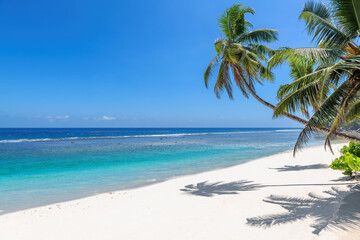 Fototapeta na wymiar Palm trees on Paradise sandy beach and tropical sea. Summer vacation and tropical beach concept. 