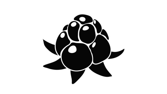 Wild raspberry icon animation isometric black object on white background