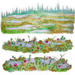 Illustration with swamp and spruce forest.