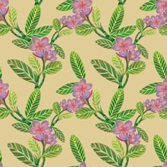 Watercolor illustration Botanical collection Plumeria and Frangipani foliage leaves bouquet Set of wild and garden and abstract seamless pattern