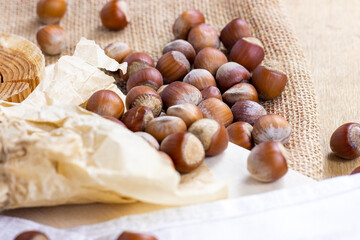 Brown hazelnuts on wooden board and textile background.