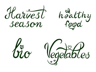 Hand drawn healthy food, bio, vegetables, harvest season lettering for market, restaurant, advertisements, labels. Vector illustration. Set of food inscription