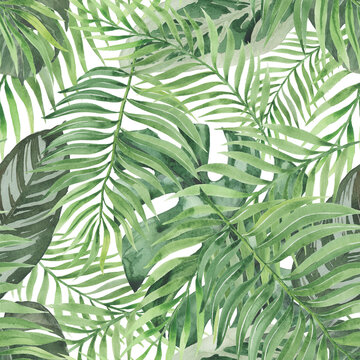 Seamless summer pattern with tropical exotic palm leaves, monstera. Botanical design for prints, wallpapers, textiles, swimwear. Watercolor.