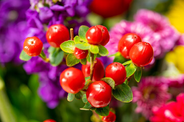 Closeup macro image of a floral arrangement