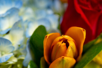 Fototapeta na wymiar Floral bouquet with vibrant colors