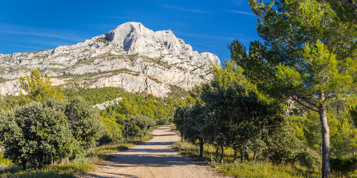 Forest trail and view of the Montagne Sainte-Victoire in Provence, a limestone mountain ridge in the south of France