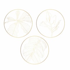 Feminine logo design templates in trendy linear minimal style. Tropical leaves. Emblem, symbols and icons for cosmetics, jewellery, beauty and handmade products.