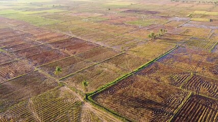 Pinrang, Sulawesi Selatan Indonesia.
View of the harvest process in the Pinrang area of ​​South Sulawesi, Indonesia, using a drone.
April 19 2021