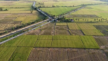 Pinrang, Sulawesi Selatan Indonesia.
View of the harvest process in the Pinrang area of ​​South Sulawesi, Indonesia, using a drone.
April 19 2021