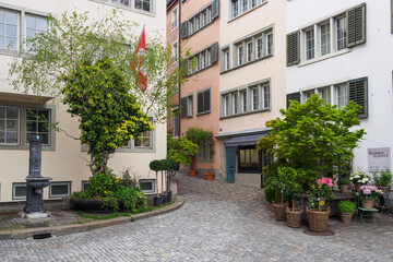 Fototapeta na wymiar Greenery on the cobbled old streets of Zurich, Switzerland