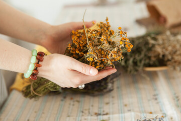 bunch of dried medicinal herbs in female hands, medicinal herbal collection.
tansy