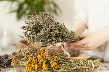  bunch of dried medicinal herbs in female hands, medicinal herbal collection.