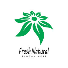 Obraz premium Mint leaves flat vector color icon template illustration design